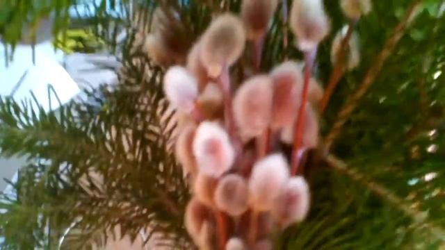 Видео после долгого времени. смотреть онлайн