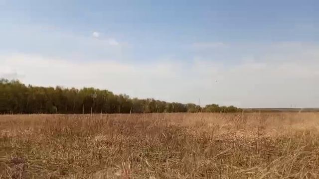 деревенские будни