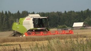 Жатва зерновых комбайнами CLAAS MEGA 350,TUCANO 340