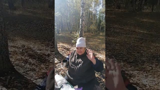 утро в лесу смотреть онлайн