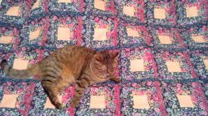 Привет рукодельницам 90-х.  Шаблоны для лоскутного одеяла из плитки для пола.