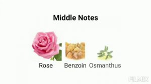 Supergloss - Costume National Fragrance notes