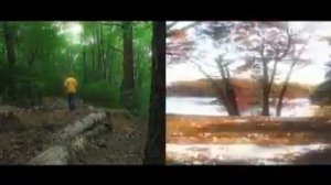Napoleon X - "After the rain" singer songwriter