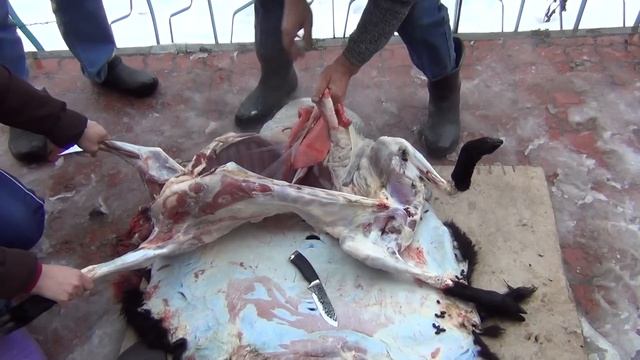 Разделка барана ножи из стали 9ХС