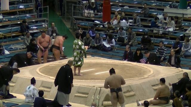 寺尾-碧天/2017.3.21(9)/terao-aozora/day10 #sumo