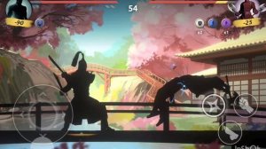 shadow fight shades