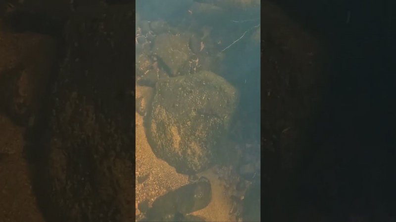 Ищем на дне #fishing