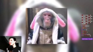 МАЗЕЛЛОВ СМОТРИТ: ДИСС НА НЕКОГЛАЯ / MZLFF, STINT