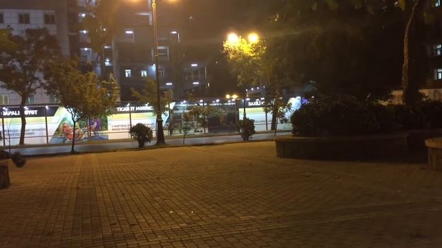 Встречи одноклассников. У Люды. Журавли улетают... смотреть онлайн