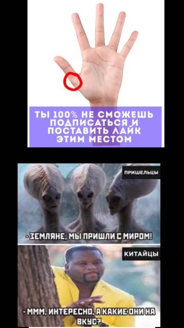 #мем #смех #стандофф #стандофф #стенд #стендофф #стендофф2 #веля #врек #смешно #смешно #прикол смотреть онлайн