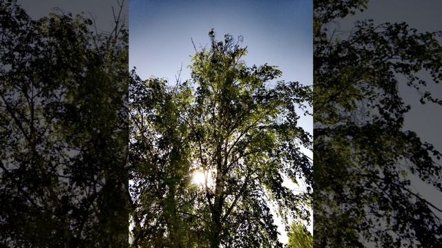 Апрель!!!!, чёрт возьми, в разгаре. (моё личное стихотворение)