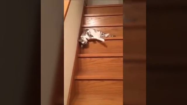 На работу смотреть онлайн