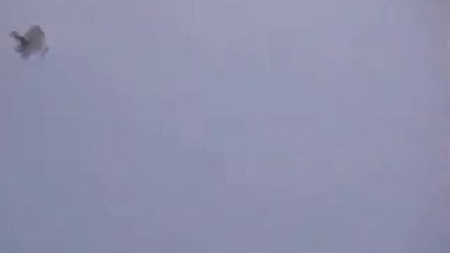 Bat 3 UAV with Cloud Cap autopilot and gimbal