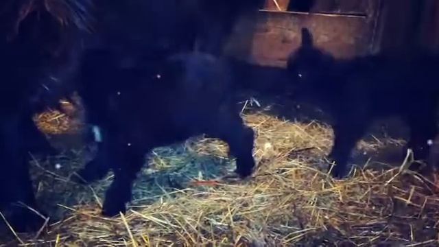 Просто приятно смотреть