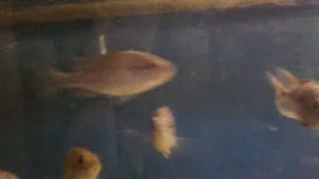 20130510_192857.mp4 смотреть онлайн