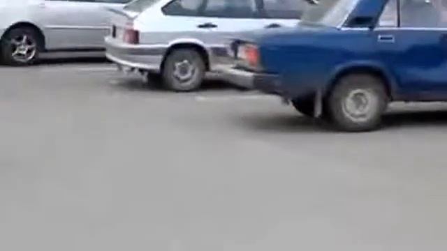 Кошка с Собакой Смех да и только смотреть онлайн