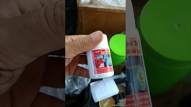 Препараты для обработки винограда от болезней и вредителей. смотреть онлайн