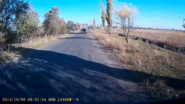 Неадекватное животное смотреть онлайн