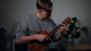 Белая ночь инструментальный кавер на укулеле