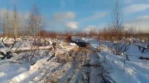 т70 трелюет лес на делянке