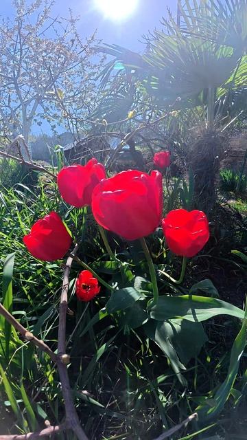 Правильная Весна😁 смотреть онлайн