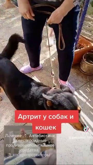 Артрит