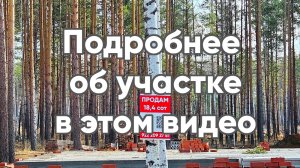 Продам участок 18,5 соток в КП Заповедник. Эл-во, газ, сосны на участке
