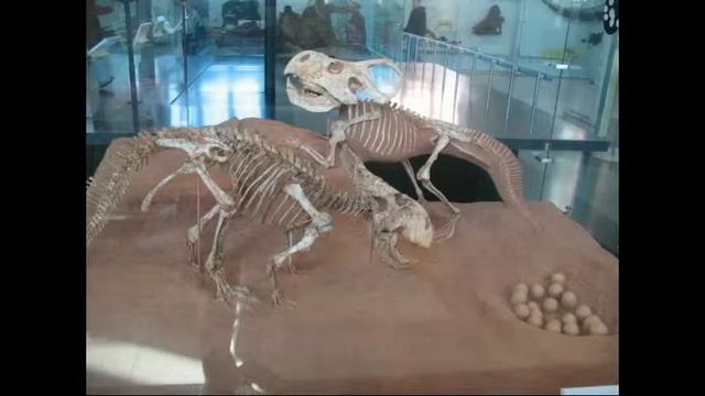 PLJOURNAL6: VARIATION WITHIN DINOSAUR GROUPS смотреть онлайн