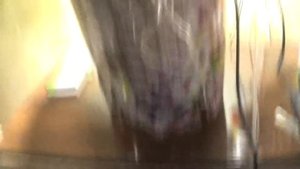 ГИДРОПОНИКА ДОМА_ЛУК  04.11.15