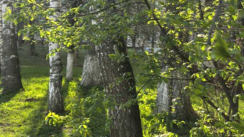 Прогулка по весеннему городу