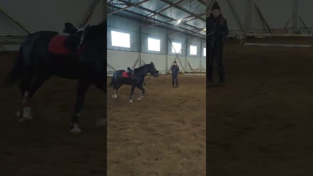 Гермес 030320 смотреть онлайн