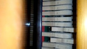 Г. ШЕПОВАЛЬНИКОВ. Ж. ДЮВЕРНУА ЭТЮД СОЧ. 176, н 24.