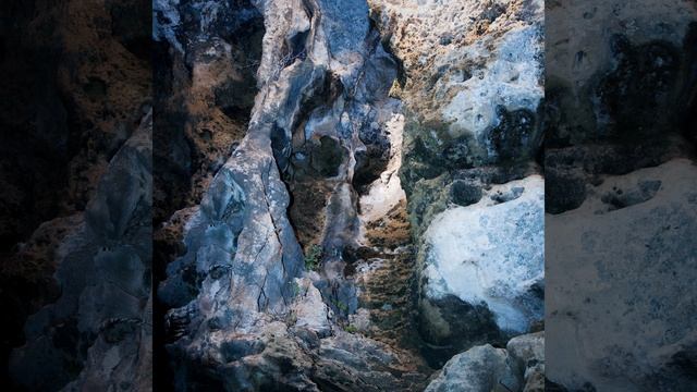 Imago смотреть онлайн