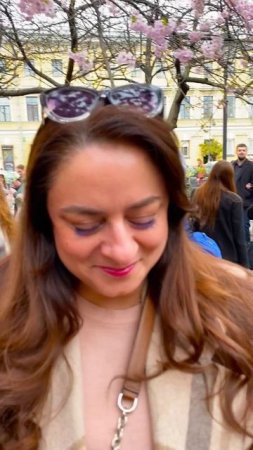 сакура цветёт в Санкт Петербурге