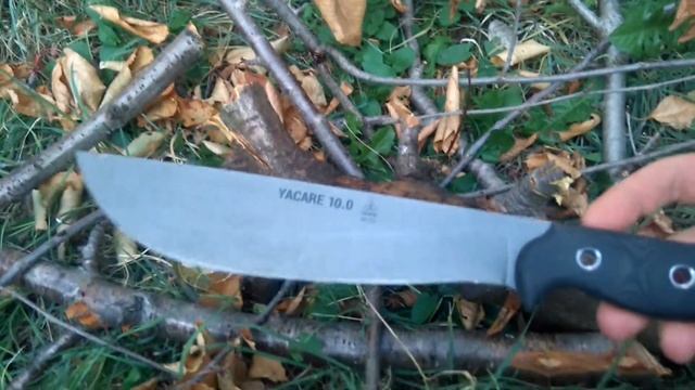 Tops Yacare chopping and thoughts смотреть онлайн