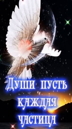 С ПРОЩЕНЫМ ВОСКРЕСЕНЬЕМ.