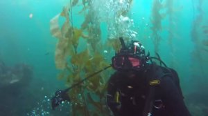 Kirby Morgan Modular Full Face Mask Diving