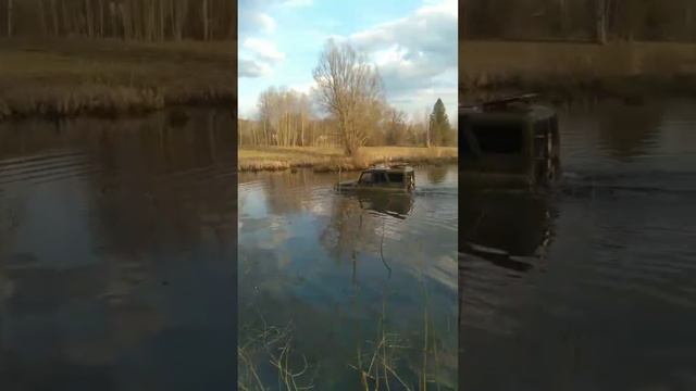амфибия