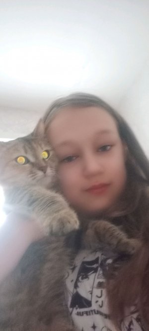 играю с кошкой