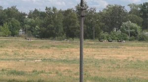 Раменский ипподром 07.07.18 - приз "БАРСА"  - 1 гит