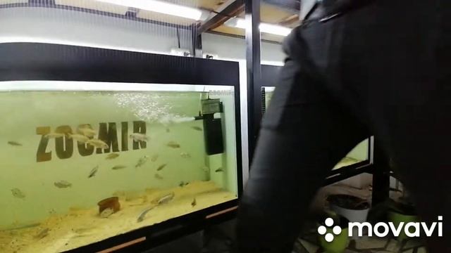 4 июля 2022 г. смотреть онлайн