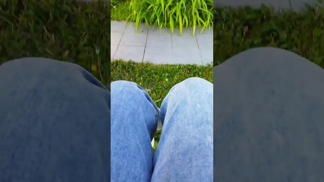 асемер улицы чччччччччччччччччччсссчсссчсссчч смотреть онлайн