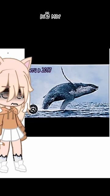 кто не понял..... #подпишись #хэштег #гача #меме #синийкит #хочуврек #shorts #shorts смотреть онлайн