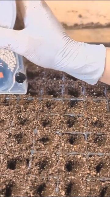 #agricultural #agriculture #farming #agro #farmlife #agricoltura  #technology #farm #food #diy