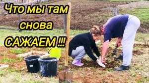 ЧТО МЫ ТАМ СНОВА САЖАЕМ | Жива ли ГОРТЕНЗИЯ | Дом в деревне | Деревенская жизнь