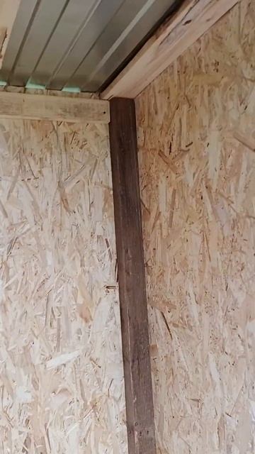 Туалет из ОСБ. смотреть онлайн