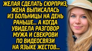 История из жизни: Желая сделать сюрприз Слушать аудио книгу, рассказ житейский