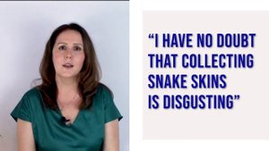 Talking about Hobbies and Interests