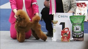Джентли Борн Осень. Выставки 19 апреля 2025