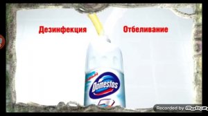 Амкуен Доместос